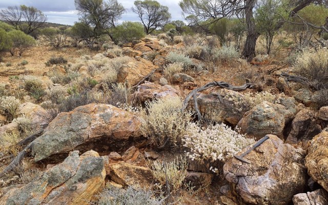 Aldoro Resources ASX ARN rubidium find Wyemandoo Western Australia