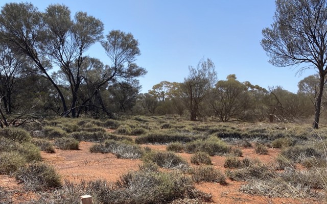 Aldoro Resources identifies targets Narndee nickel copper PGE project ASX ARN