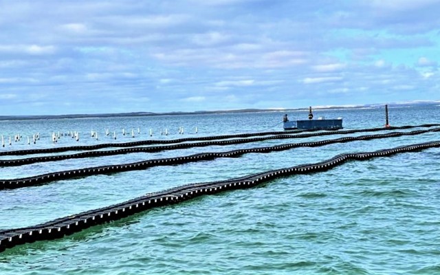 Angel Seafood ASX AS1 FlipFarm oysters Streaky Bay revenue 2021