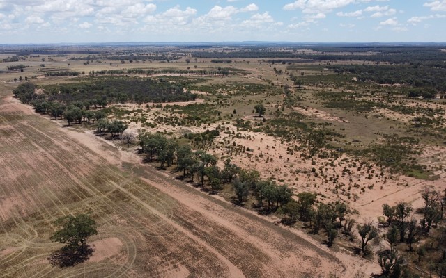 Australian Gold and Copper IPO ASX AGC Lachlan Fold Belt NSW