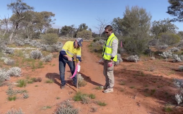 Barton Gold ASX BGD Environment Protection and Rehabilitation Tunkillia gold drilling