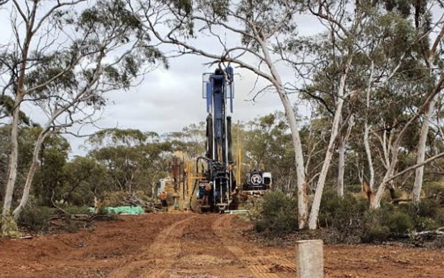 Black Cat Syndicate Bulong Gold Project drilling ASX BC8