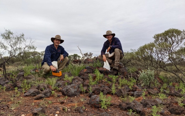 Dreadnought Resources ASX DRE rare earth elements REE Star of Mangaroon