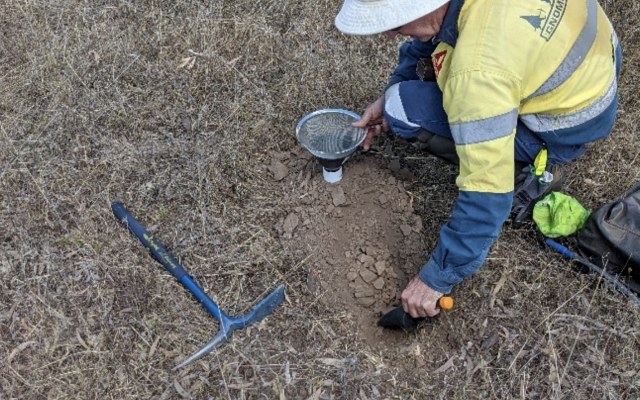 Duke Exploration ASX DEX Quorn pXRF soil sampling survey Mt Flora copper