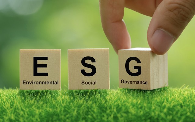 ESG environmental social governance mineral explorers developers 2022 PwC