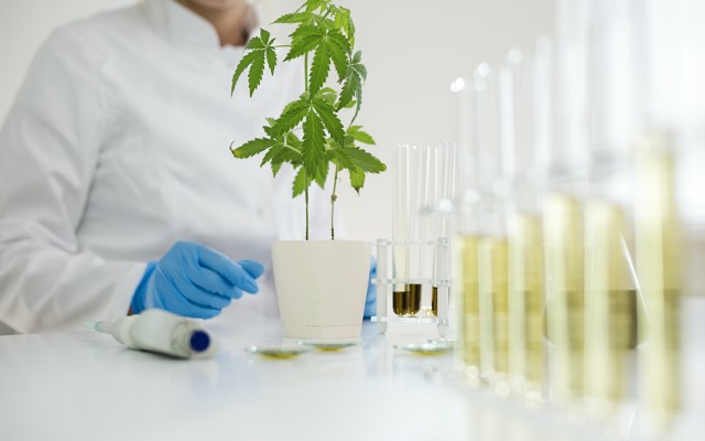 Emerald Clinics ASX EMD real-world evidence contract Canopy Growth UK company Spectrum Biomedical