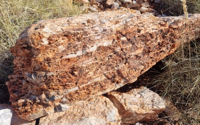 Greentech Metals ASX GRE lithium pegmatites Ruth Well project spodumene West Pilbara region Western Australian