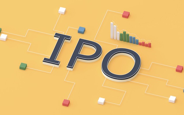 IPO winners losers 2021 ASX mania performance best initial public offering