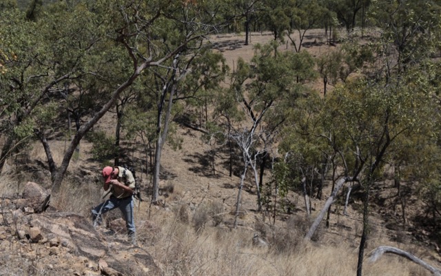 Inca Minerals ASX ICG MaCauley Creek Project Queensland copper lead zinc silver