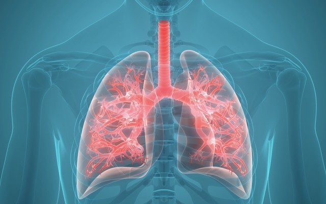 Incannex IHL ASX inflammatory lung conditions COPD asthma bronchitis in vivo