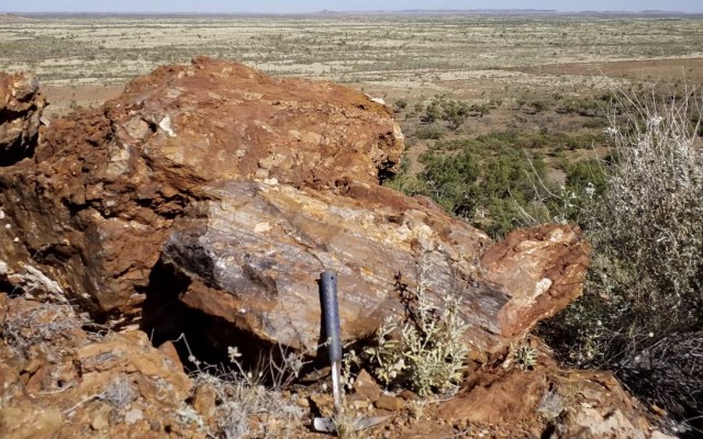 Kairos Minerals ASX KAI Pilbara gold Main Hill Mt York deposit