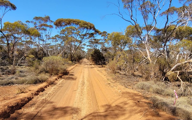 Larvotto Resources ASX LRV rare earth element oxide Merivale South TREO Eyre