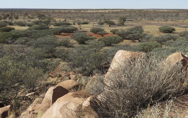 Latitude Consolidated ASX LCD Skye gold project Gawler Craton South Australia