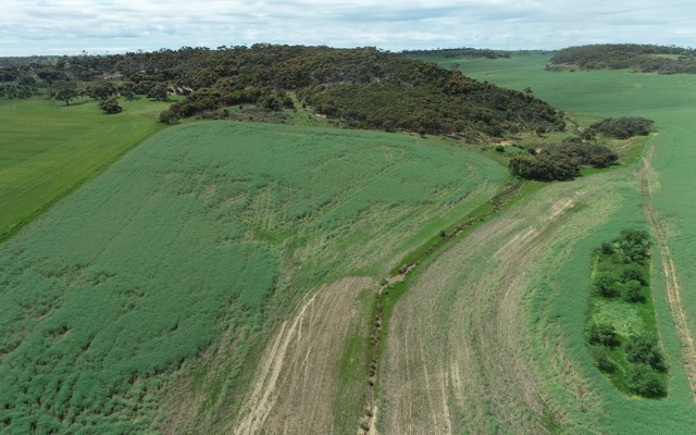 Lincoln Minerals ASX LML graphite project Kookaburra Gully South Australia