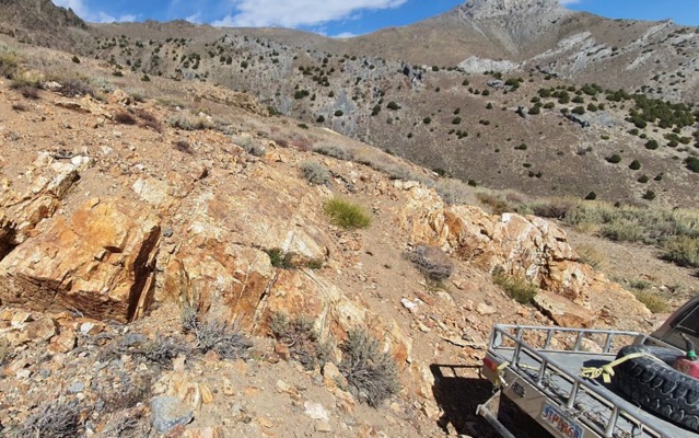 PolarX ASX PXX Star Canyon soil sampling historic Champion Mine gold silver workings Humboldt Range