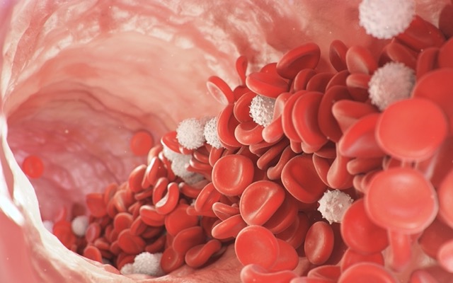 Prescient Therapeutics ASX PTX PTX-100 T Cell Lymphoma white blood cell cancer study phase 1B