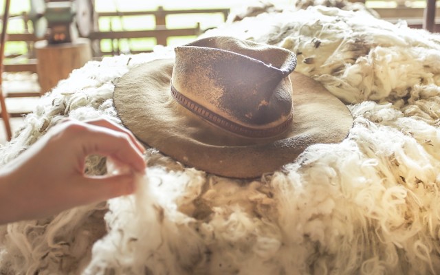 RooLife Group ASX RLG sell Australian wool products China merino