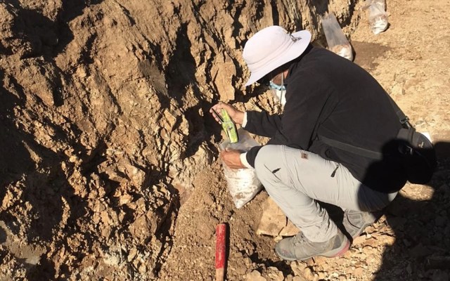 Trenching at the Colina2 gold project has returned assays grading up to 9.46g/t gold.