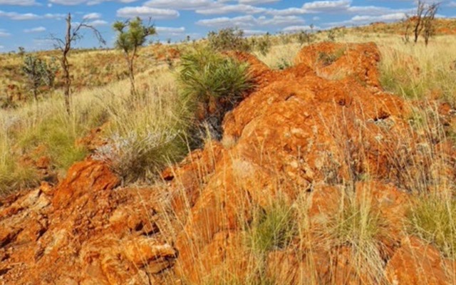 Tambourah Metals ASX TMB Russian Jack lithium pegmatite outcrop Pilbara