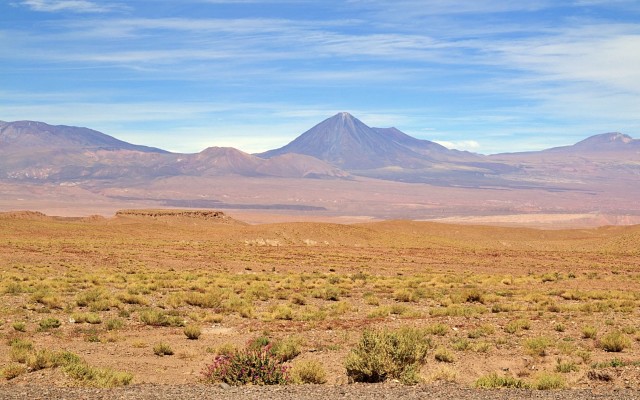 Tesoro Resources ASX TSO El Zorro Coquetas gold channel sampling