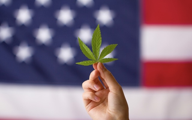 US house of representatives passes bill decriminalise cannabis nationwide marijuana 2022