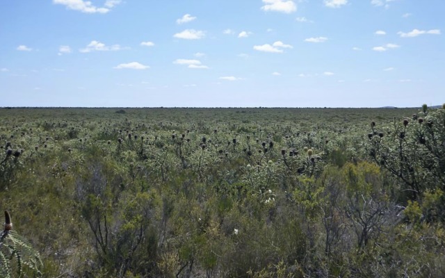 VRX Silica sand ASX Boyatup Western Australia