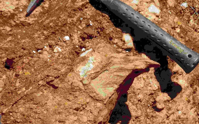 Venus Metals ASX VMC discovers lithium caesium tantalum pegmatites Beryl