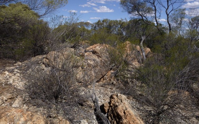 Venus Metals ASX VMC lithium pegmatites tantalum niobium Henderson Western Australia