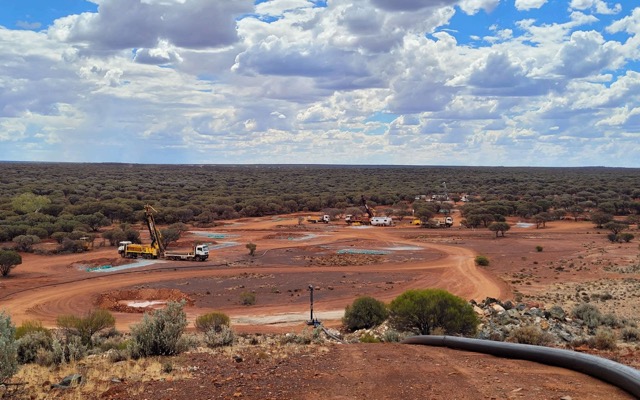 Venus Metals Corp Rox Resources ASX VMC RXL gold assays drilling Link prospect Youanmi