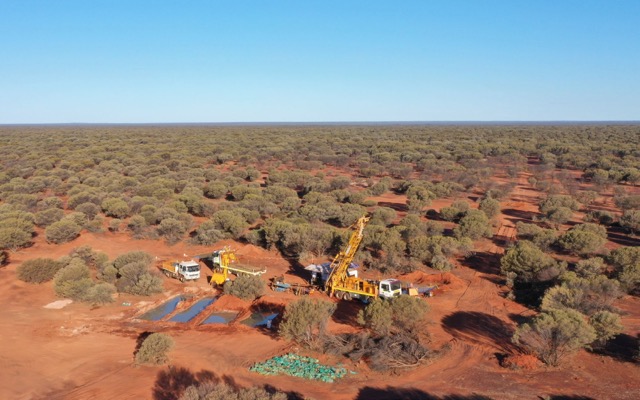 Venus Metals VMC Rox Resources RXL ASX assays Link gold target Youanmi Western Australia