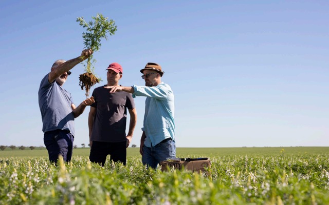 Wide Open Agriculture ASX WOA plant based Buntine protein facility Western Australia