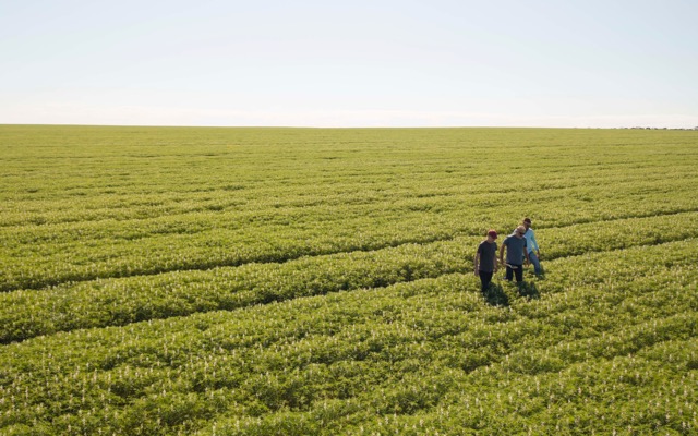 Wide Open Agriculture WOA ASX Dirty Clean Food Buntine Protein Asia oat milk Coles