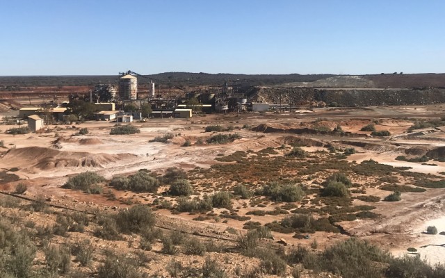 Youanmi gold project recoveries Rox Resources Venus Metals Corporation ASX RXL VMC