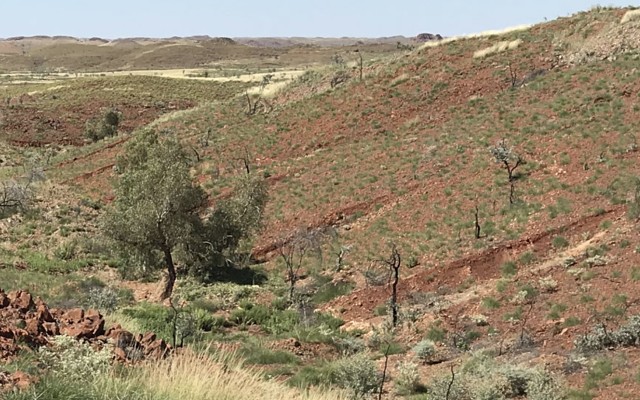 eMetals ASX EML niobium tin tungsten Nardoo Well