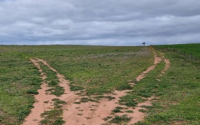 iTech Minerals ASX ITM Lacroma Graphite Prospect Eyre Peninsula